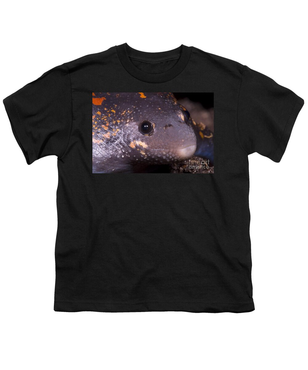 Rhinophrynidae Youth T-Shirt featuring the photograph Mexican Burrowing Toad by Dante Fenolio