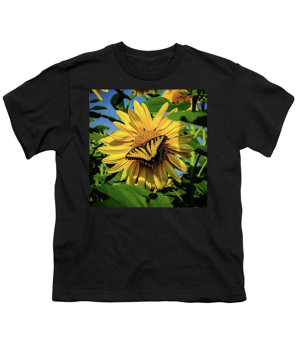 Male Eastern Tiger Swallowtail - Papilio Glaucus Youth T-Shirt featuring the photograph Male Eastern tiger swallowtail - Papilio glaucus and Sunflower by Louis Dallara