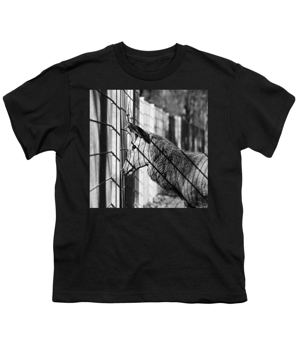 Animals Youth T-Shirt featuring the photograph #monochrome #canon #cage #blackandwhite by Mandy Tabatt