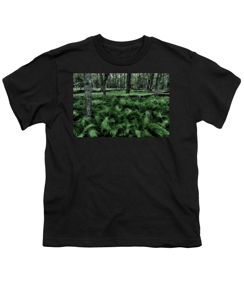 Fern Youth T-Shirt featuring the photograph Morning Fern by Mike Eingle