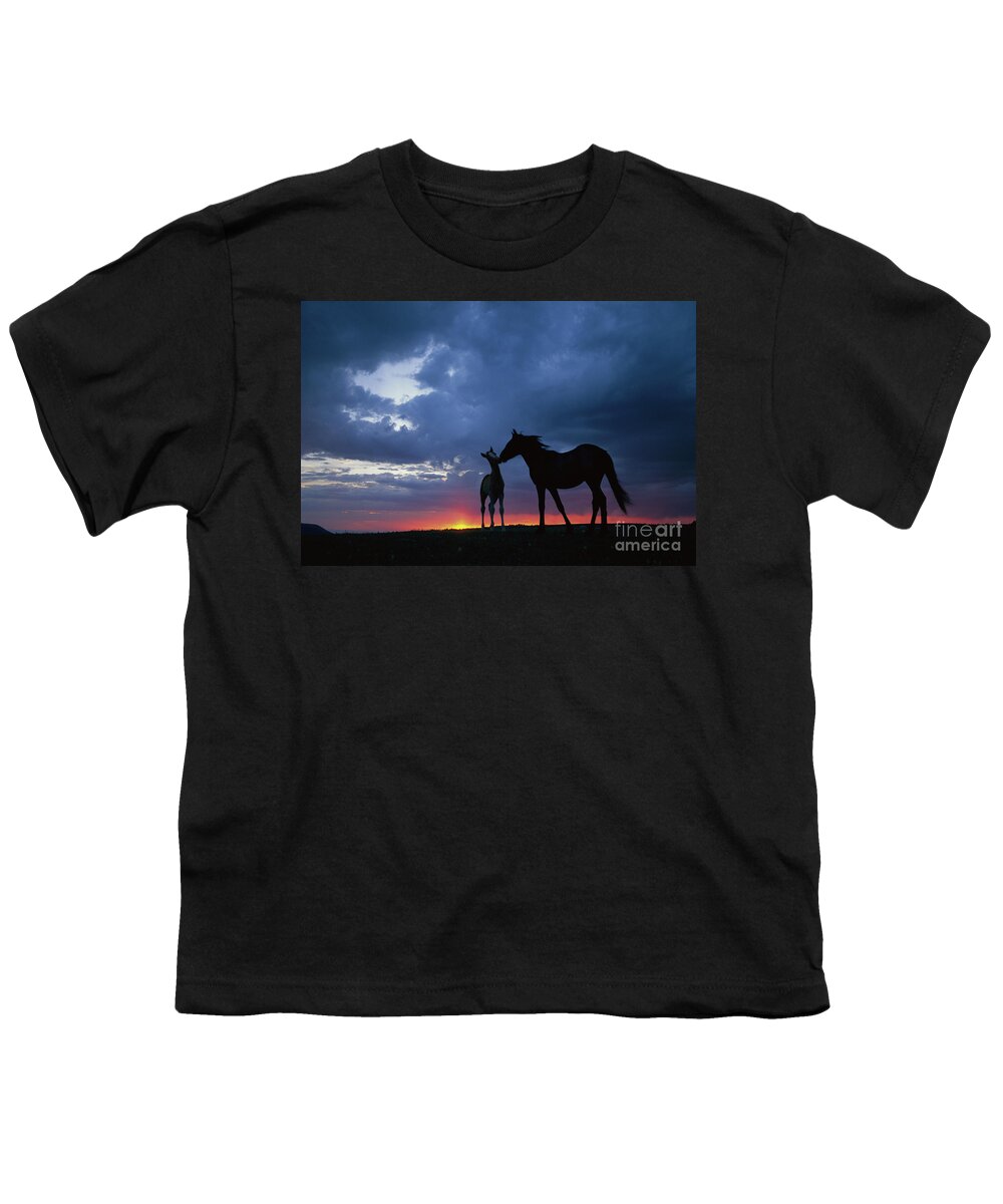 00340054 Youth T-Shirt featuring the photograph Mustang and Foal at Sunset by Yva Momatiuk John Eastcott