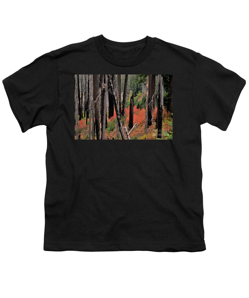 Oregon Youth T-Shirt featuring the photograph New Life by Merle Grenz
