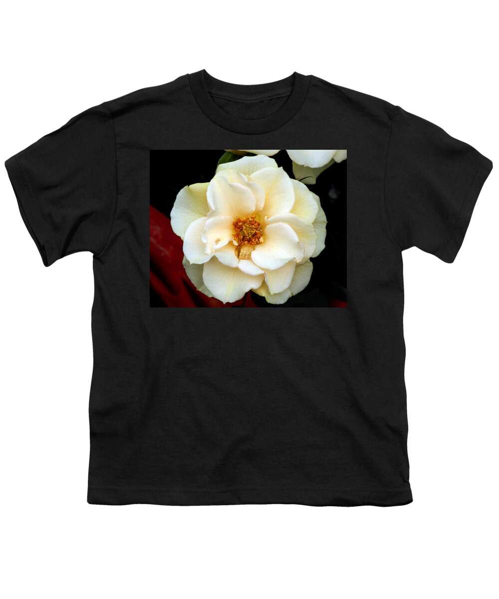 Pale Youth T-Shirt featuring the photograph Pale Beauty by Lynda Lehmann