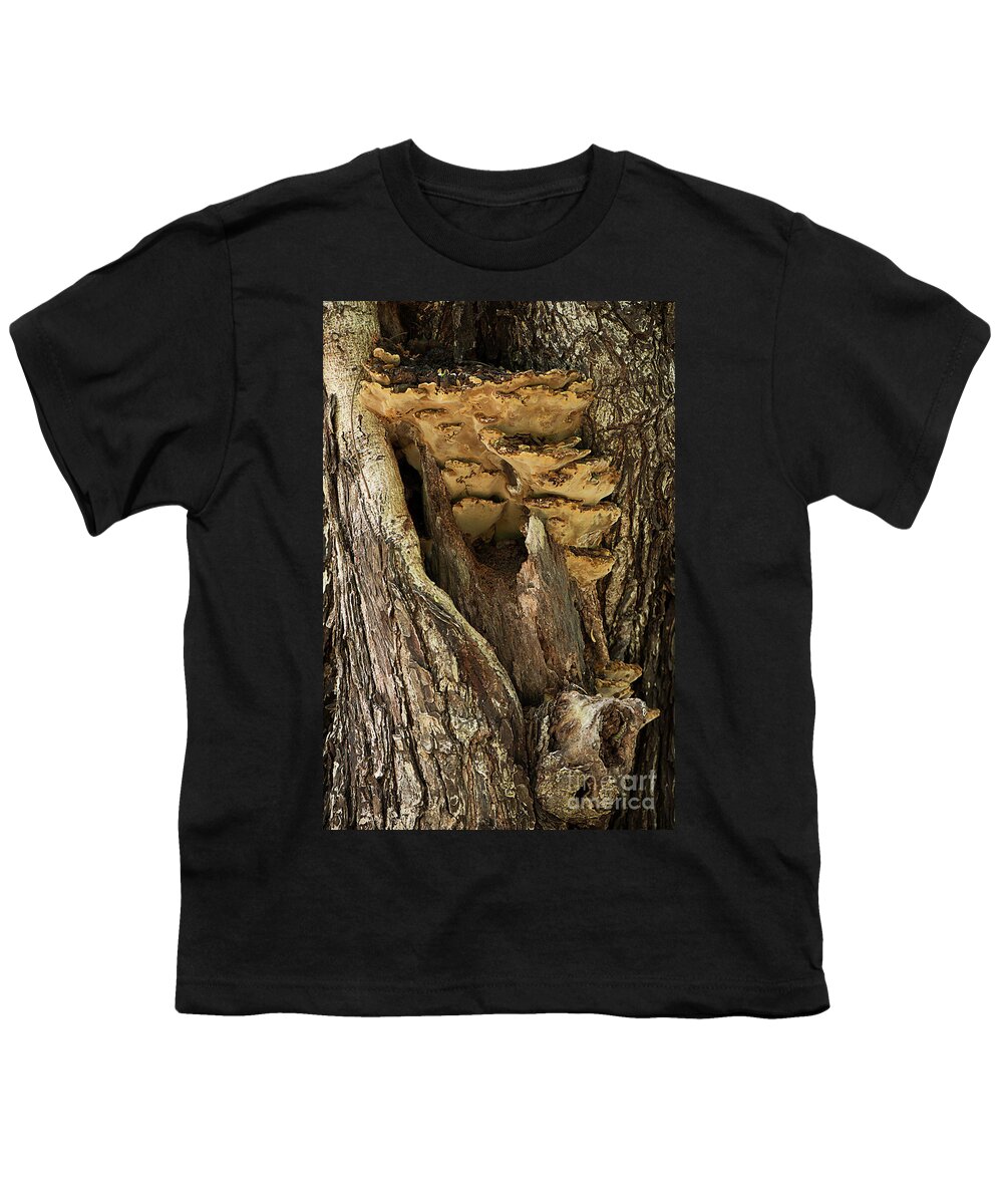 Tree Youth T-Shirt featuring the photograph Peeping through woods by Kiran Joshi