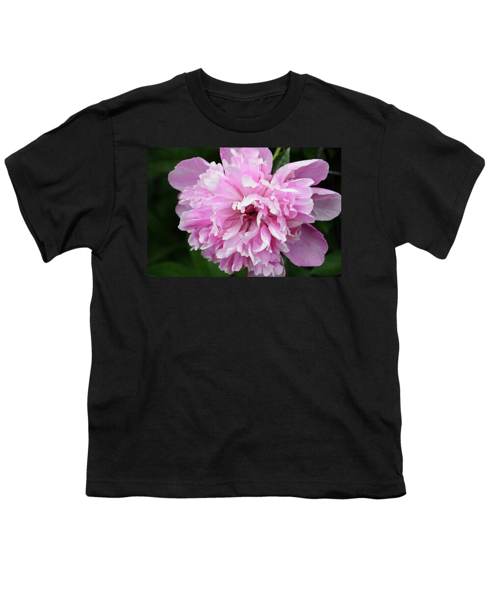 Flower Youth T-Shirt featuring the photograph Peony Perfection by Angelina Tamez