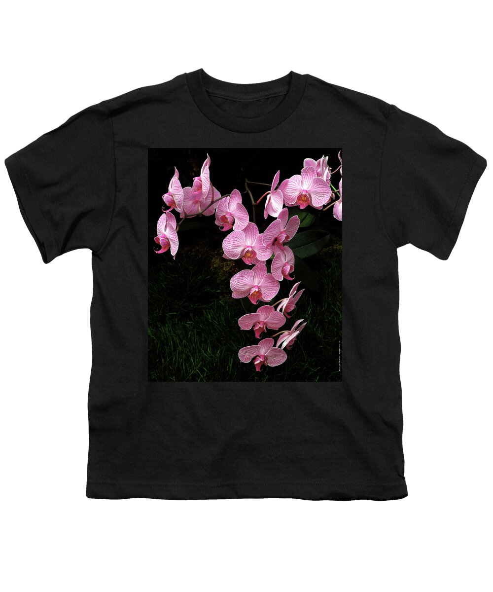 Orchids Youth T-Shirt featuring the photograph Pink Orchids by Mark Ivins