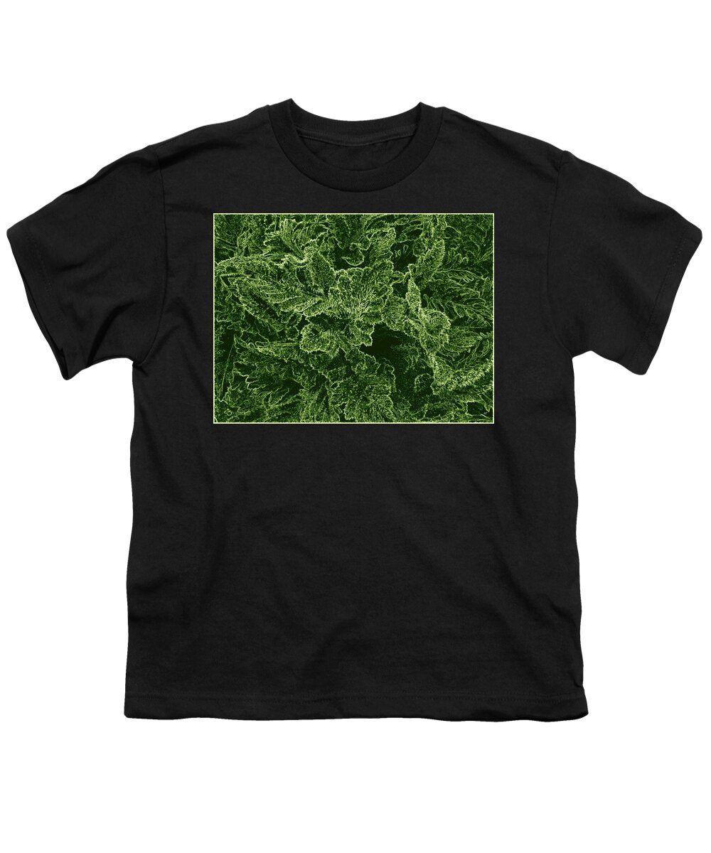#poppyleaves Youth T-Shirt featuring the digital art Poppy Leaves by Will Borden