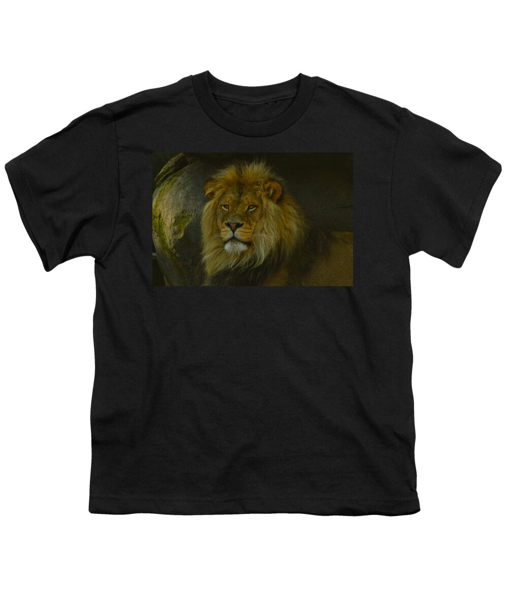 Lion Youth T-Shirt featuring the photograph Pride Land by Laddie Halupa