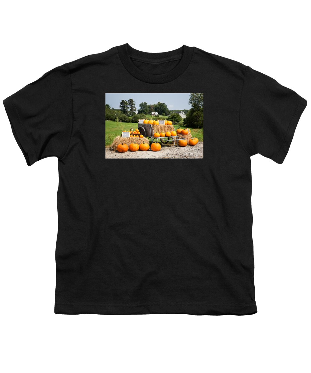 Pumpkin Youth T-Shirt featuring the photograph Pumpkin sale by Jane Rix