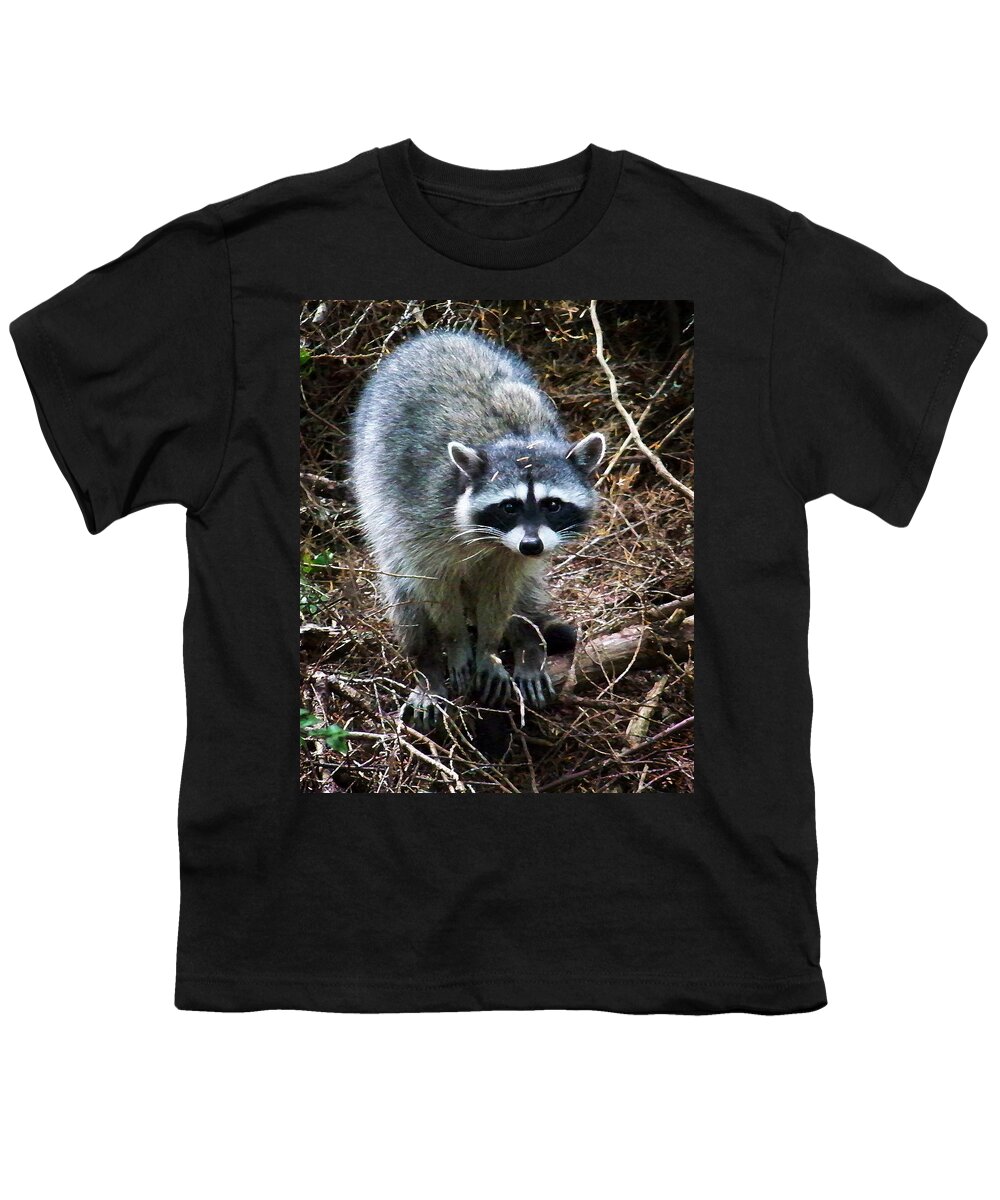 Painting Youth T-Shirt featuring the photograph Raccoon by Anthony Jones
