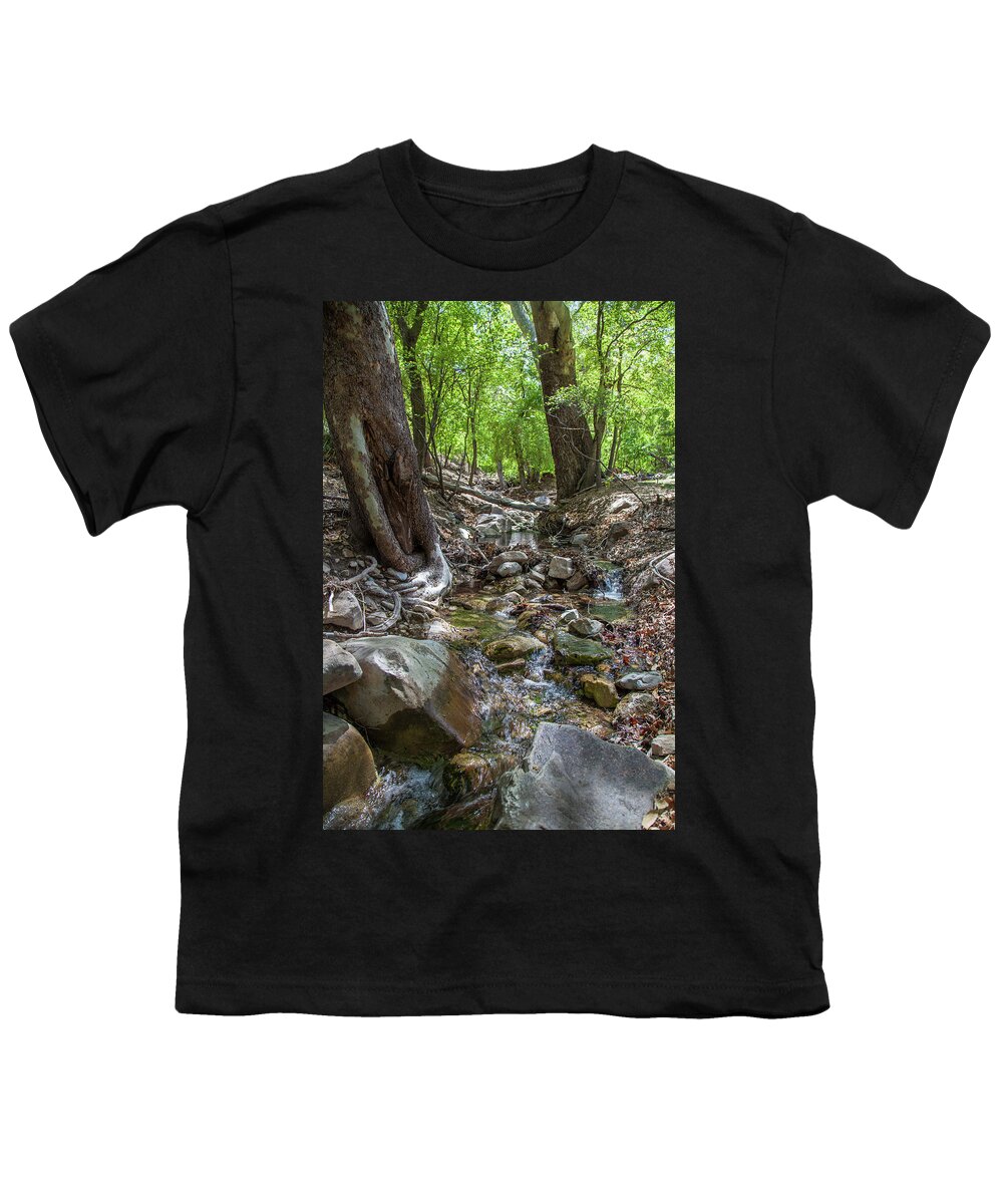 Ramsey Canyon Preserve Youth T-Shirt featuring the photograph Ramsey Canyon Preserve by Lon Dittrick