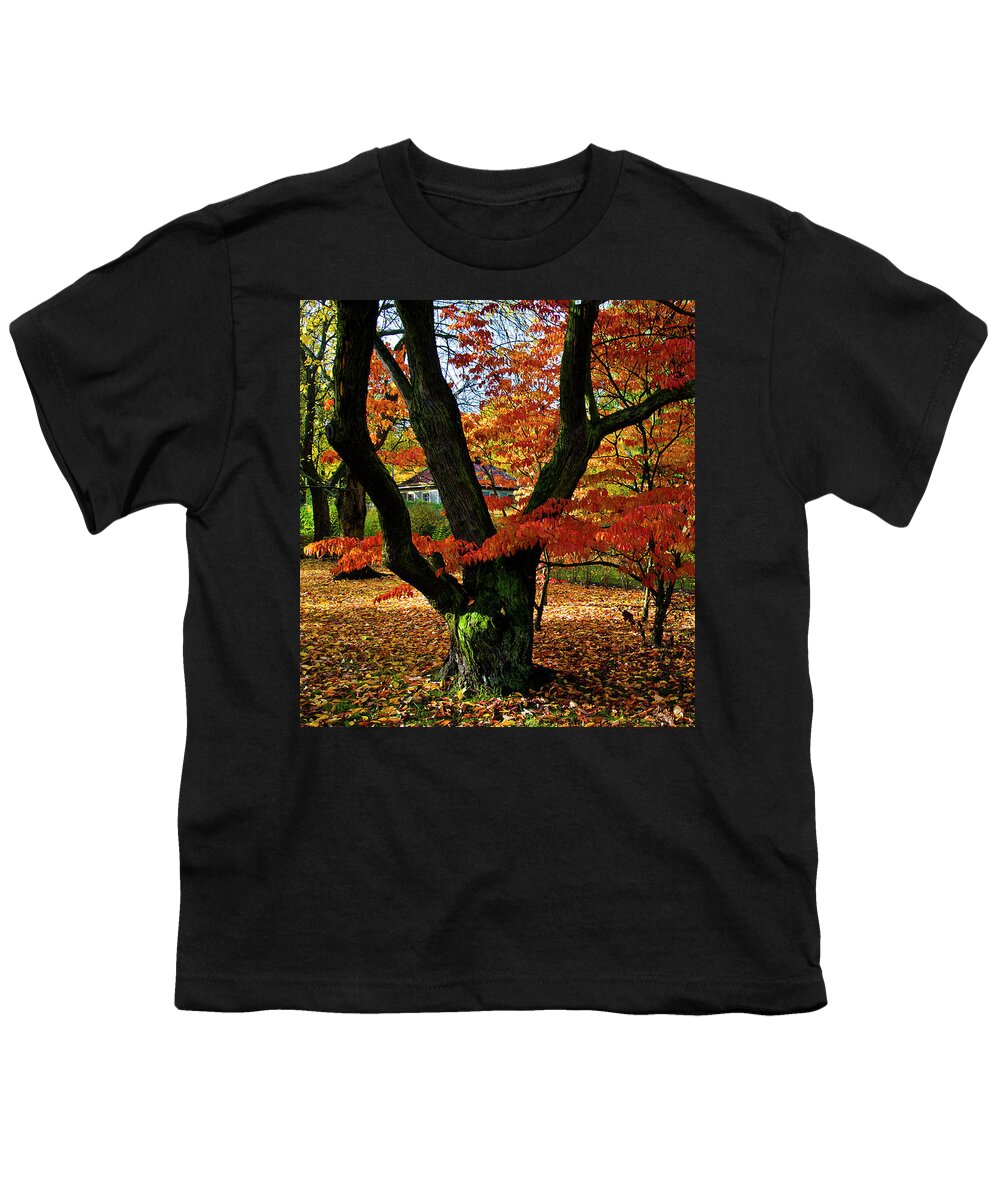 Tree Youth T-Shirt featuring the photograph Red Autumnal Leaves by Silva Wischeropp