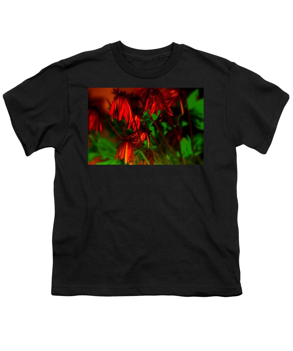 Julie Lueders Artwork Youth T-Shirt featuring the photograph Red by Julie Lueders 