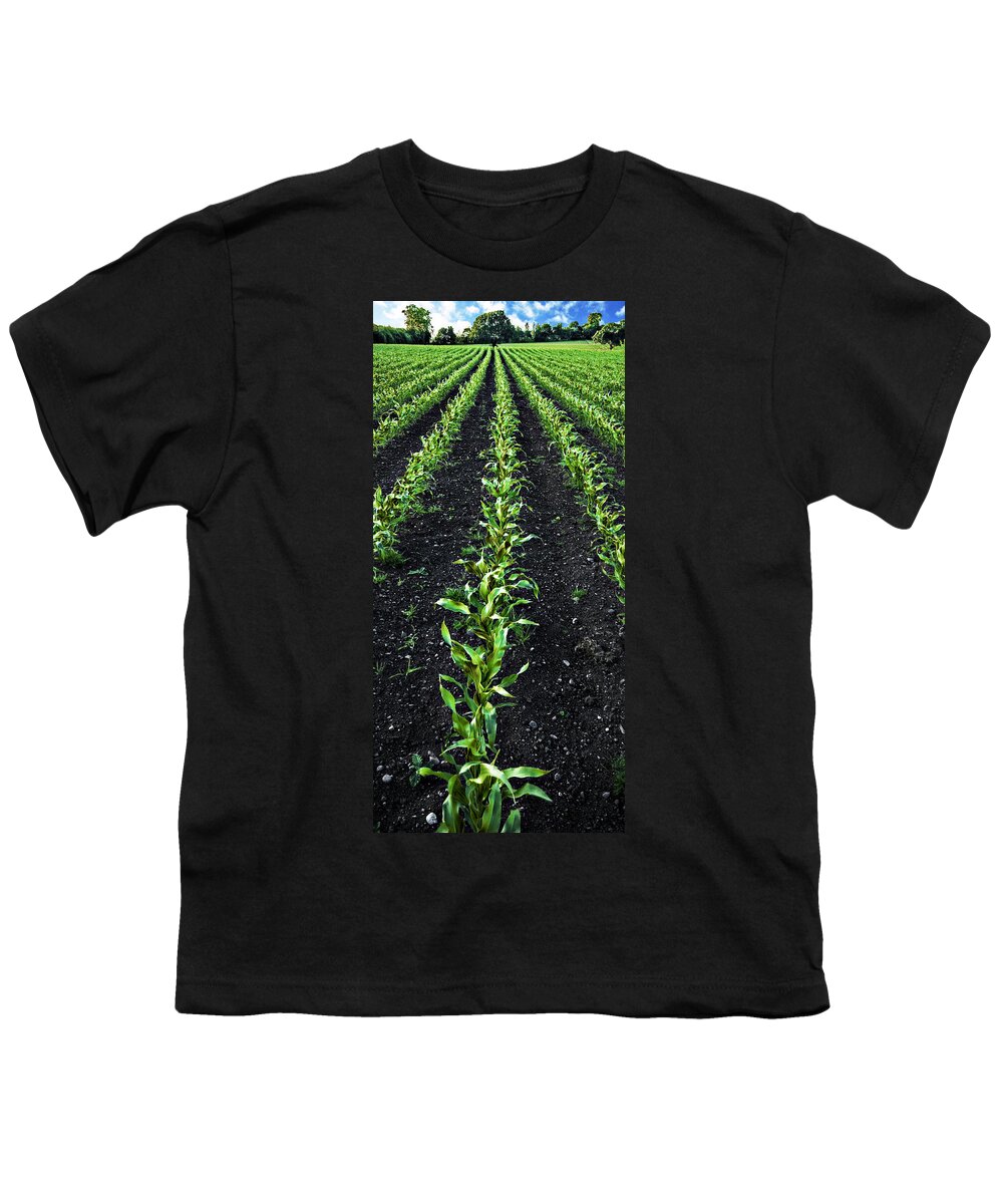 Corn Youth T-Shirt featuring the photograph Regiment by Meirion Matthias