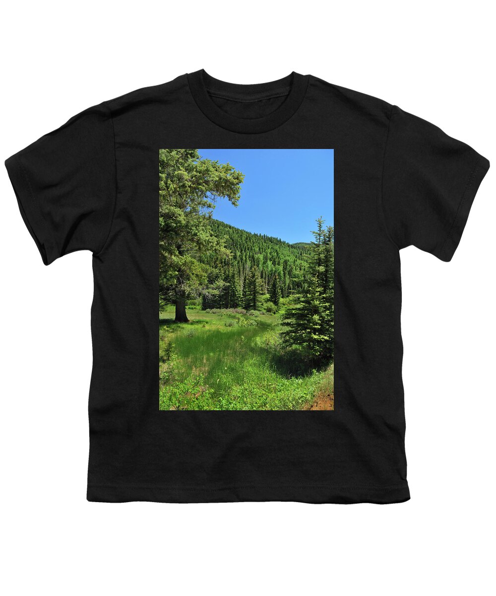Landscape Youth T-Shirt featuring the photograph Rio Chiquito Canyon by Ron Cline