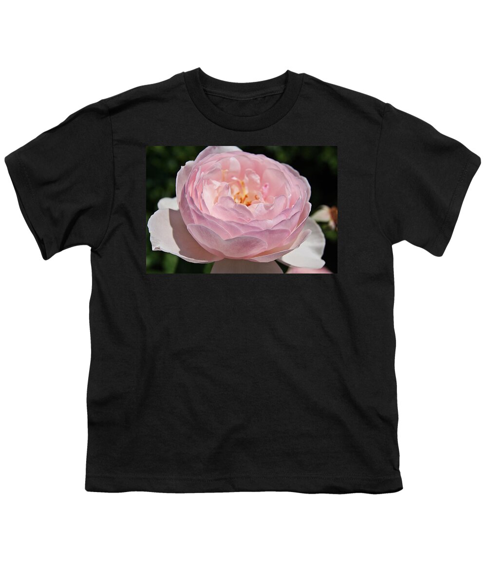 Rose Youth T-Shirt featuring the photograph Rose K by Joe Faherty