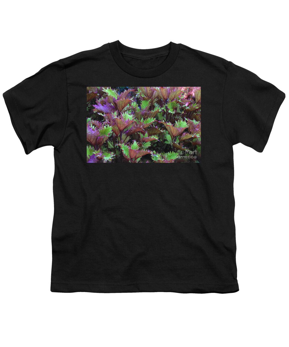 Coleus Youth T-Shirt featuring the photograph Ruffly Leaves in Green and Maroon by Carol Groenen