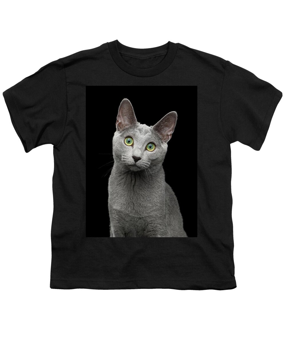 Cat Youth T-Shirt featuring the photograph Russian blue cat with amazing green eyes on isolated black backg by Sergey Taran
