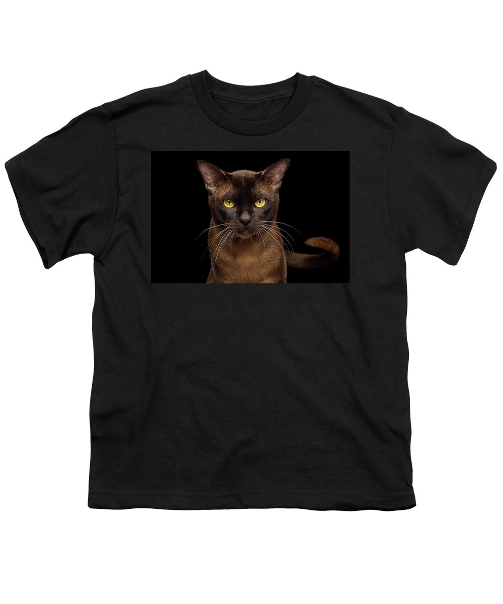 Sable Youth T-Shirt featuring the photograph Sable Burmese Cat by Sergey Taran