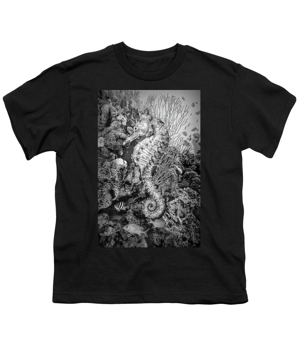 Atlantic Youth T-Shirt featuring the photograph Seahorse at a Magical Reef Black and White by Debra and Dave Vanderlaan