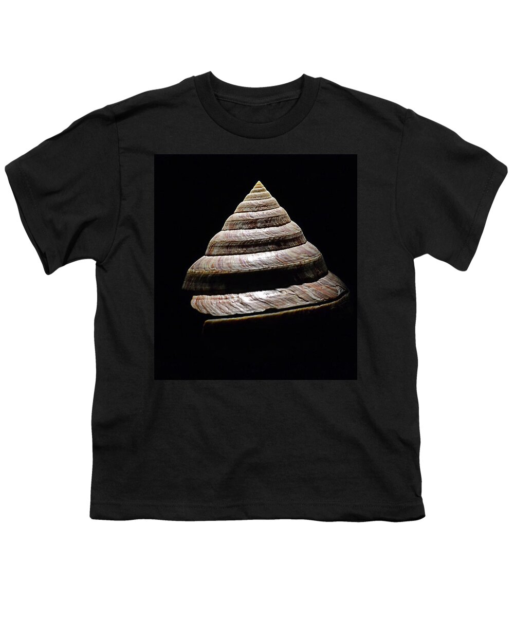 Seashells Youth T-Shirt featuring the photograph Seashell Spiral on Black by Nadalyn Larsen