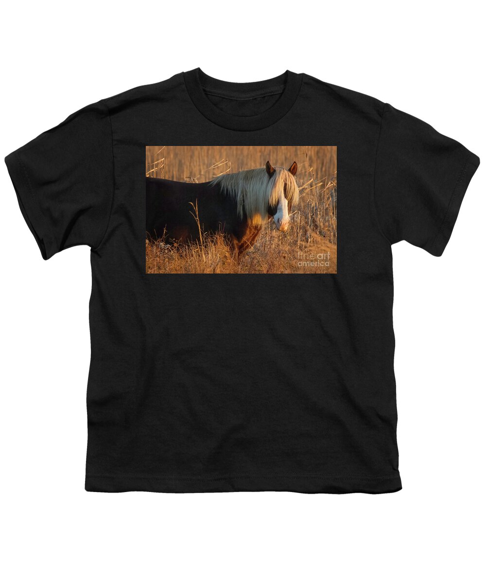 Wild Pony Youth T-Shirt featuring the photograph Shaggy Wild Pony II by Karen Jorstad