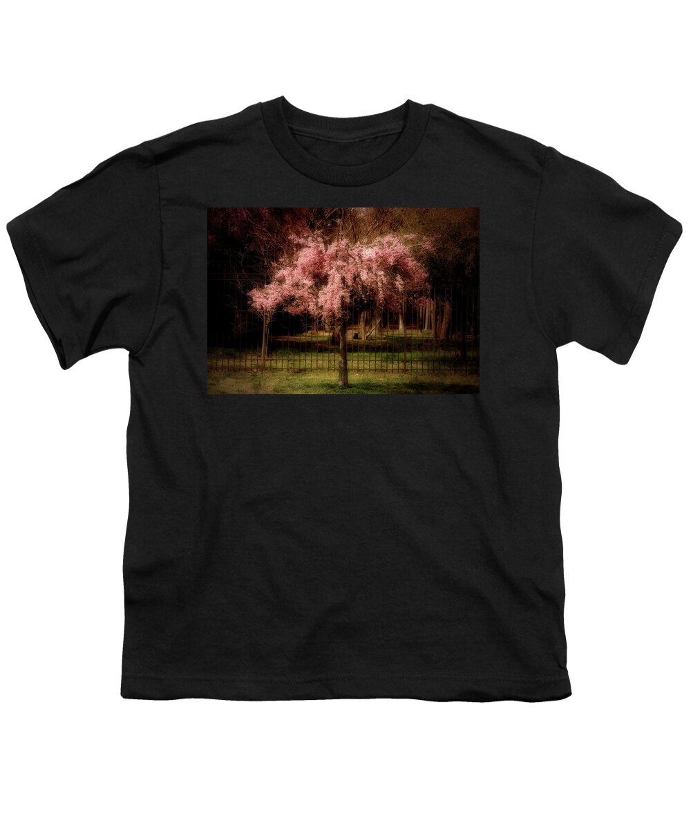 Cherry Blossom Tree Youth T-Shirt featuring the photograph She Weeps - Ocean County Park by Angie Tirado