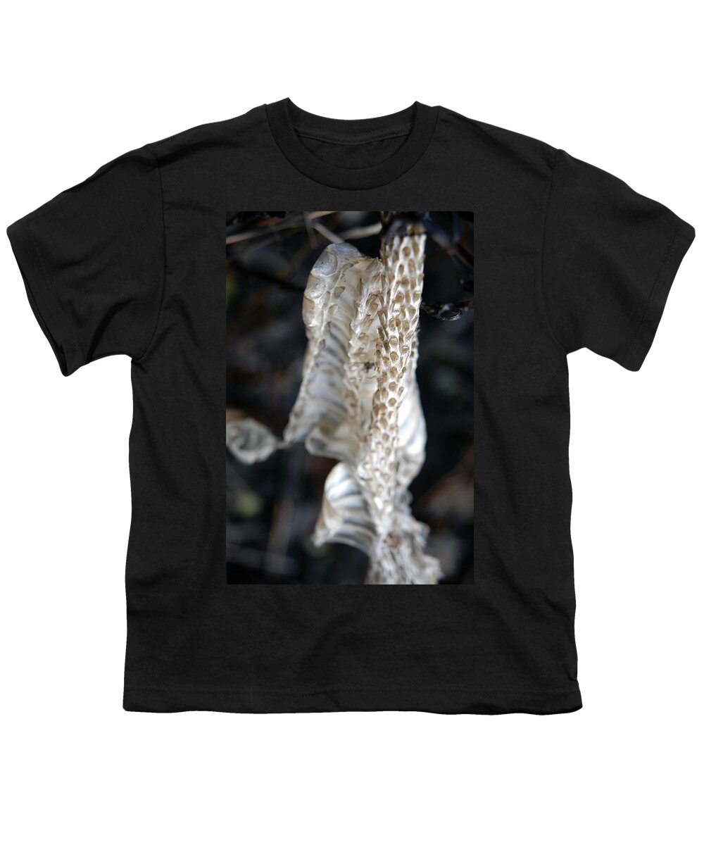 Snake Youth T-Shirt featuring the photograph Shed - Snake Skin by DArcy Evans