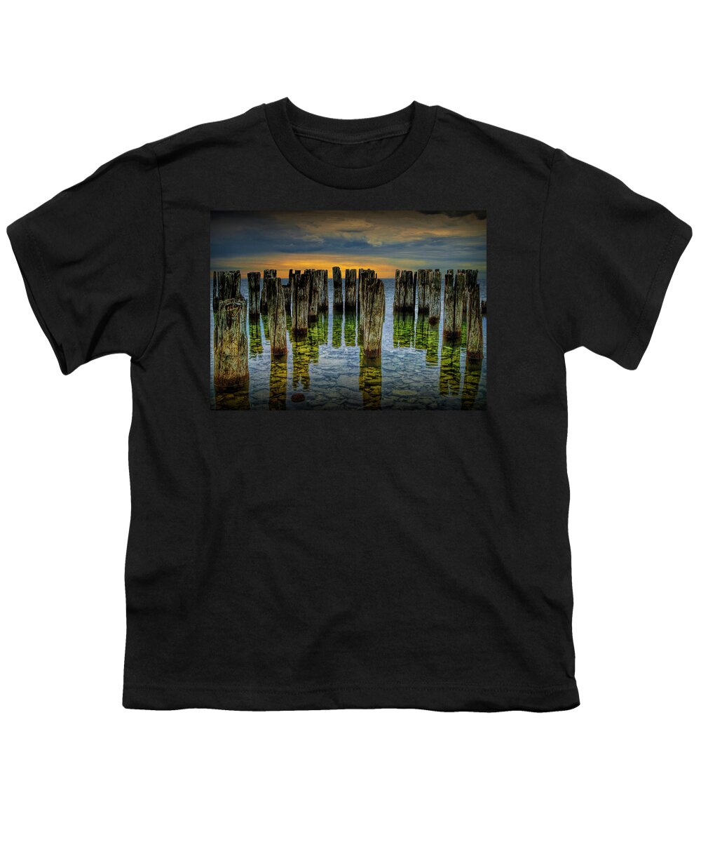 Art Youth T-Shirt featuring the photograph Shore Pilings at Sunset by Fayette State Park by Randall Nyhof
