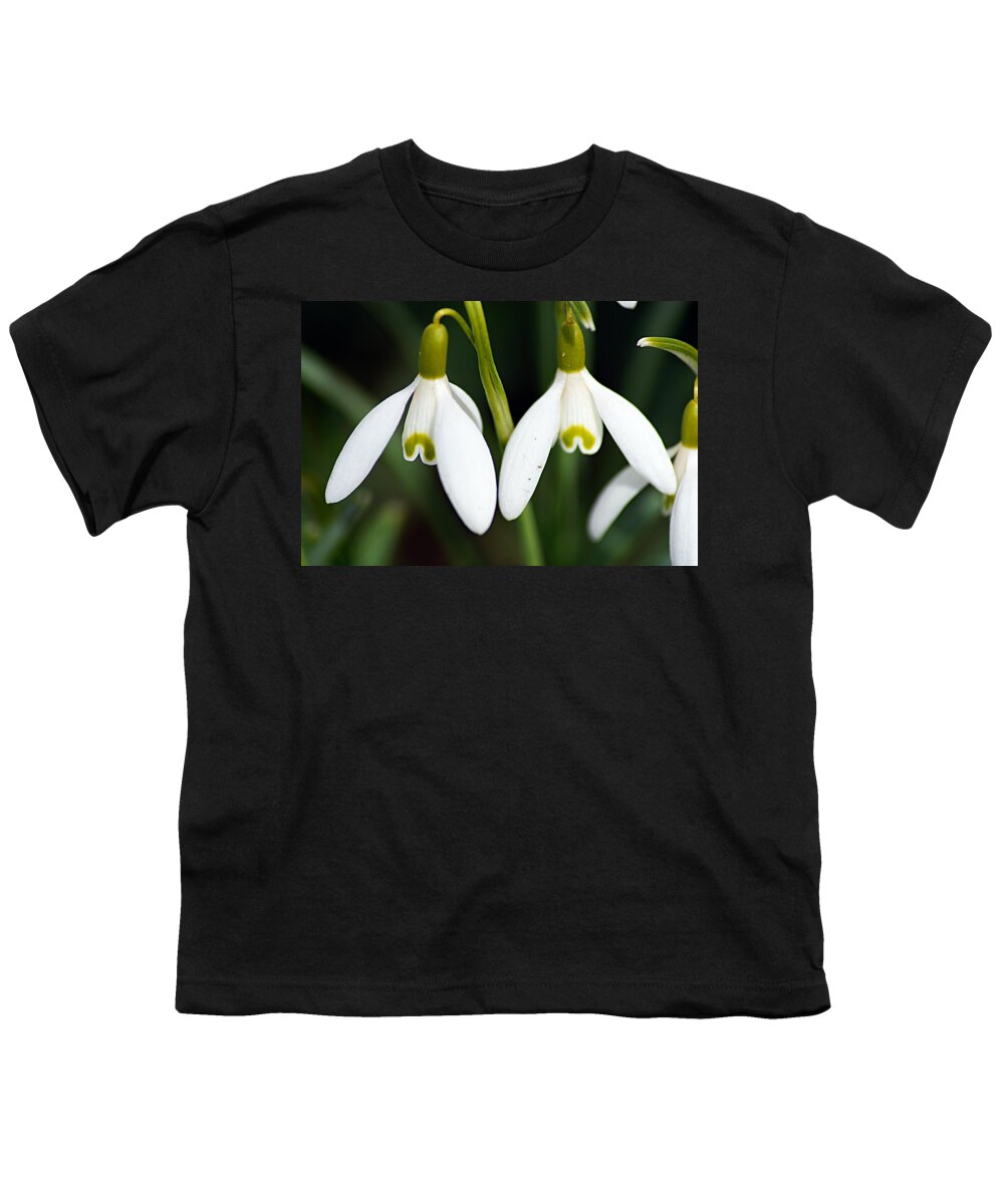 Snowdrops Youth T-Shirt featuring the photograph Snowdrops by Larry Ricker