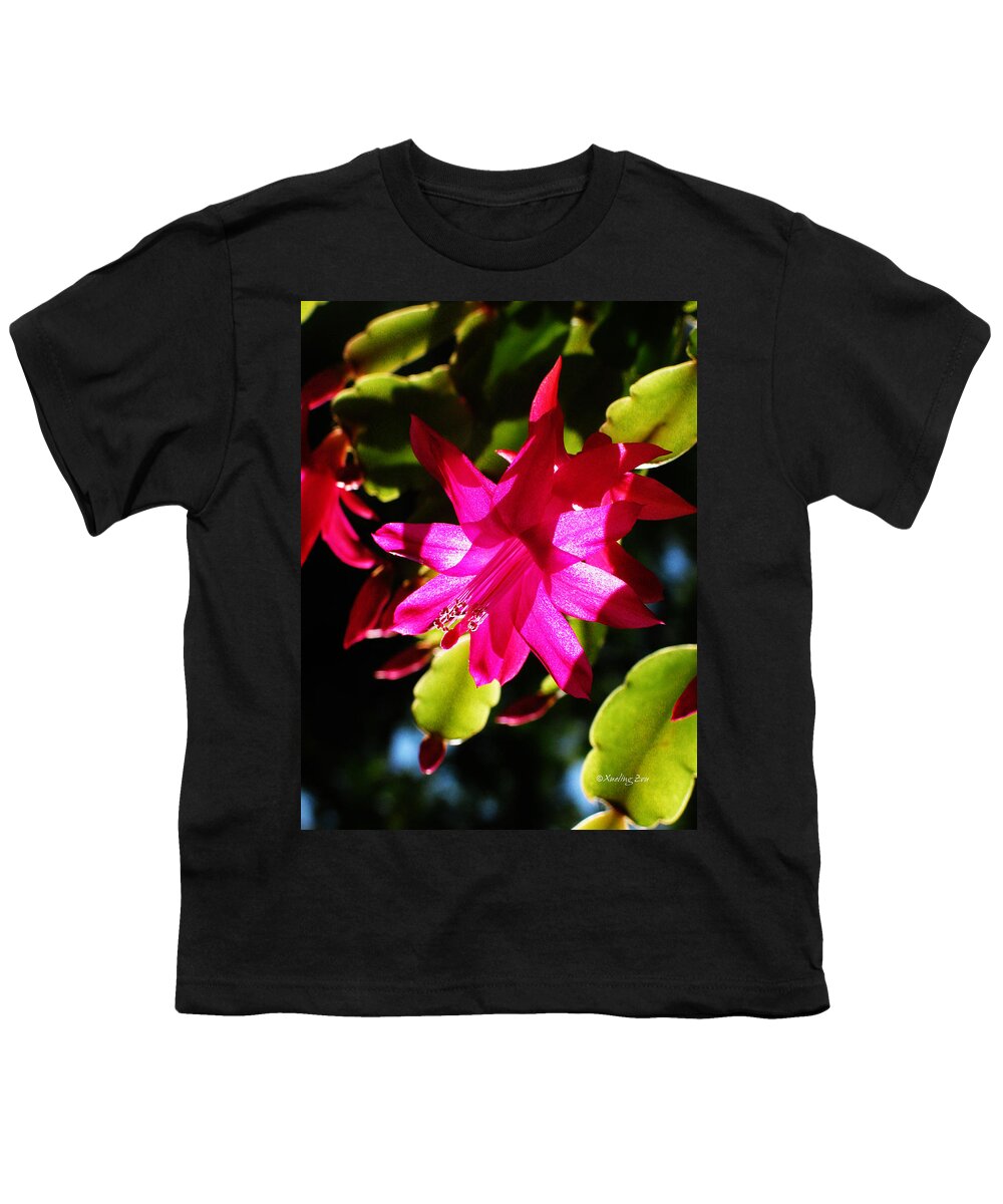 Cactaceae Youth T-Shirt featuring the photograph Spring Blossom 15 by Xueling Zou