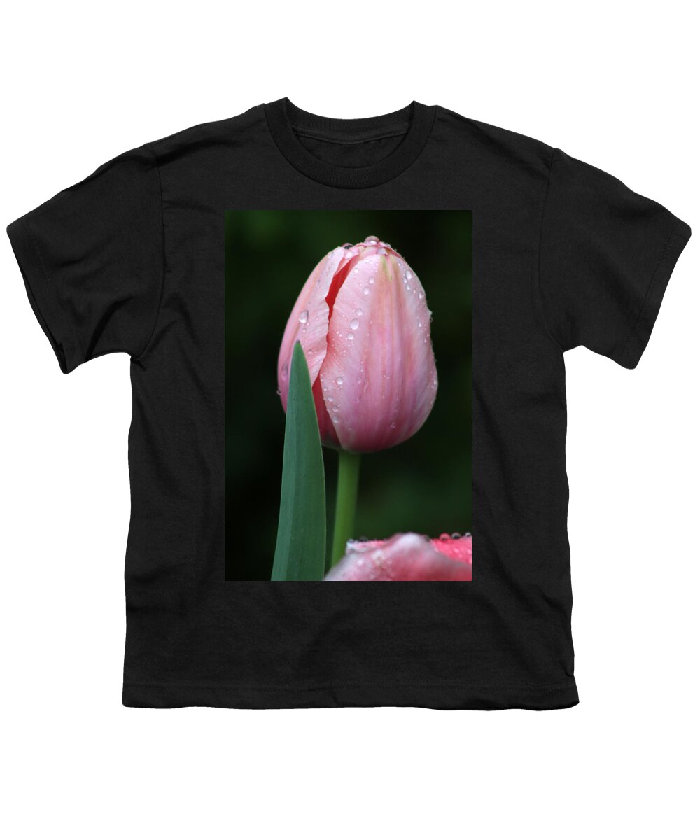 Tulip Youth T-Shirt featuring the photograph Spring Tulips 23 by Pamela Critchlow