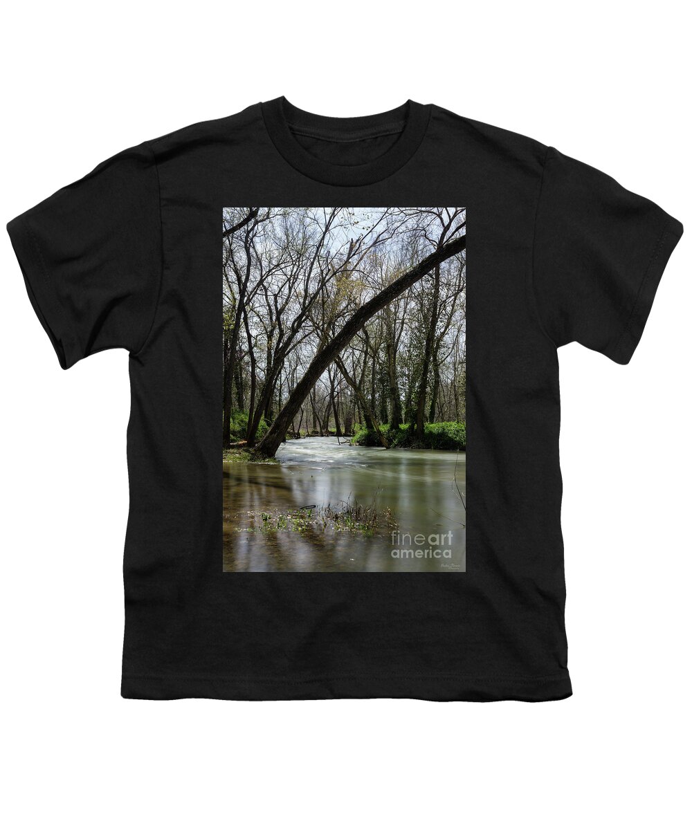 Ozarks Youth T-Shirt featuring the photograph Springtime At Finley by Jennifer White