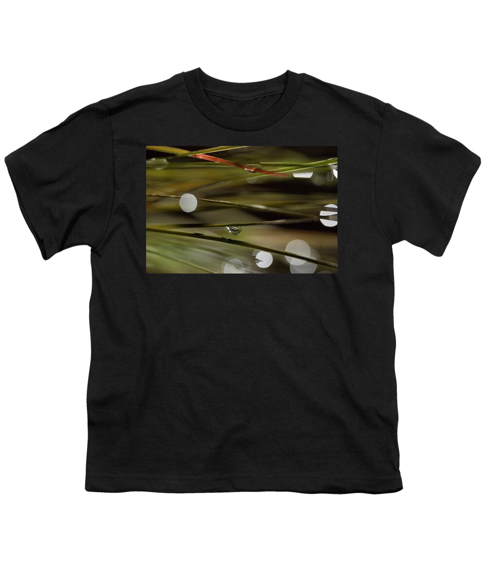Water Drop Youth T-Shirt featuring the photograph Stability Among Chaos by Mike Eingle