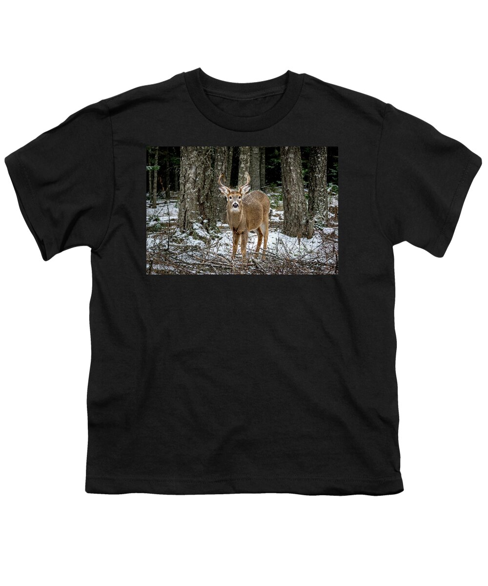 Wildlife Youth T-Shirt featuring the photograph Staring Buck by Lester Plank