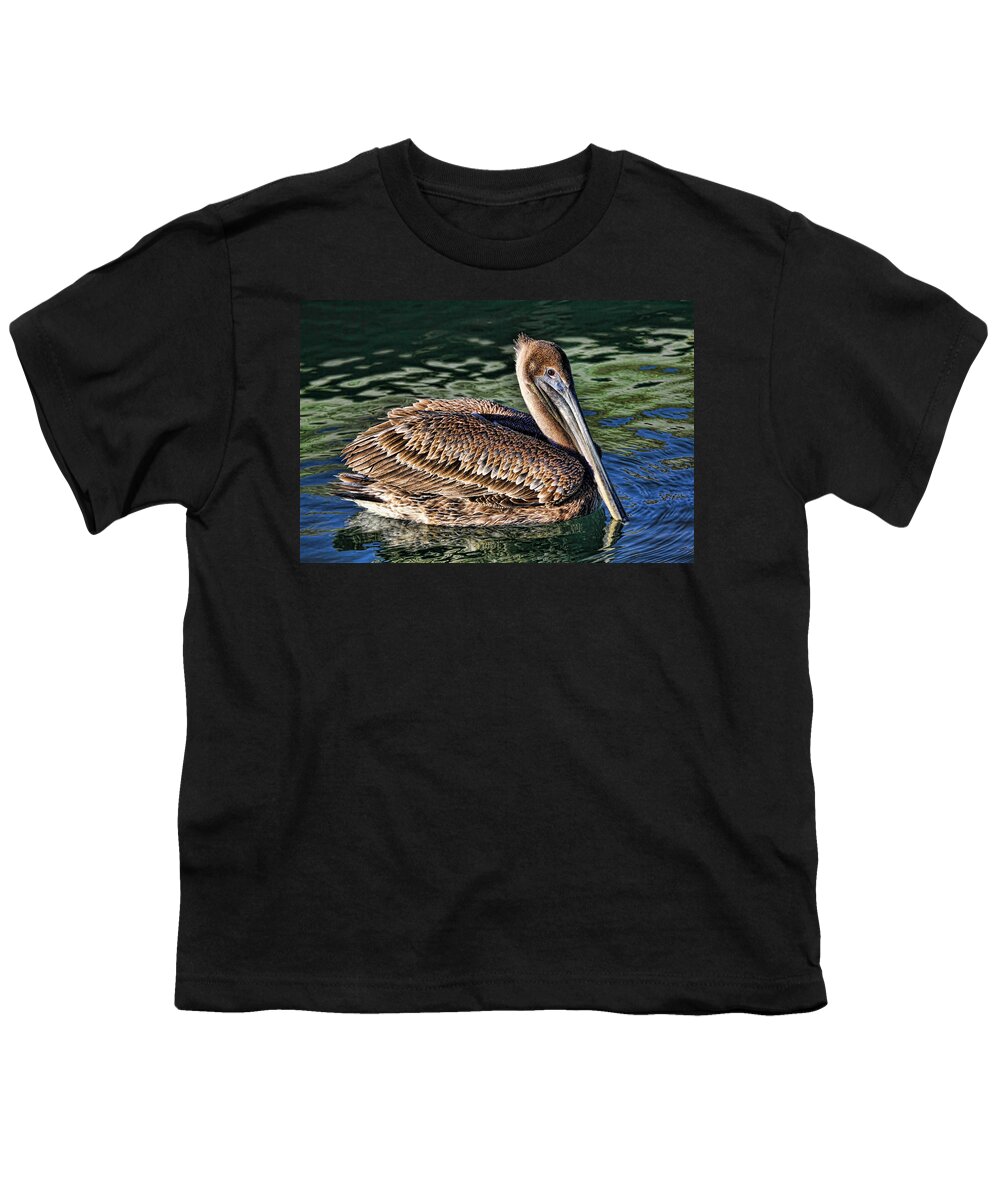 Brown Pelican Youth T-Shirt featuring the photograph Staying Afloat - Brown Pelican Swimming by HH Photography of Florida