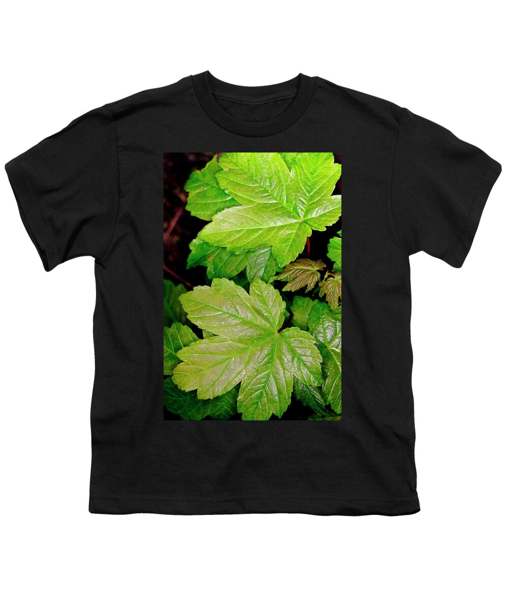 Sap Youth T-Shirt featuring the photograph Sycamore leaves in a vertical layout. by Elena Perelman