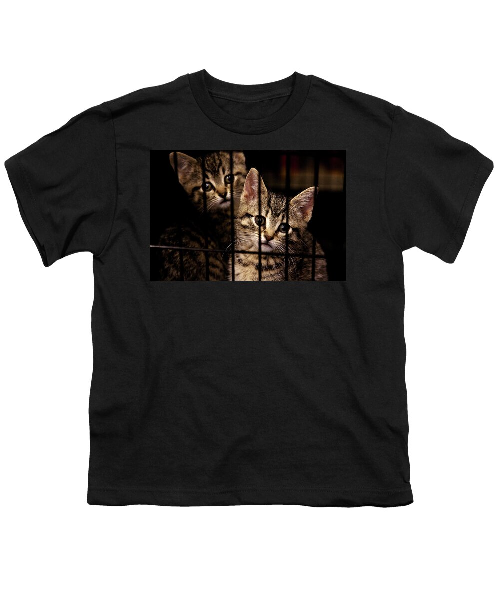 Kittens Youth T-Shirt featuring the photograph Take me home by Tatiana Travelways