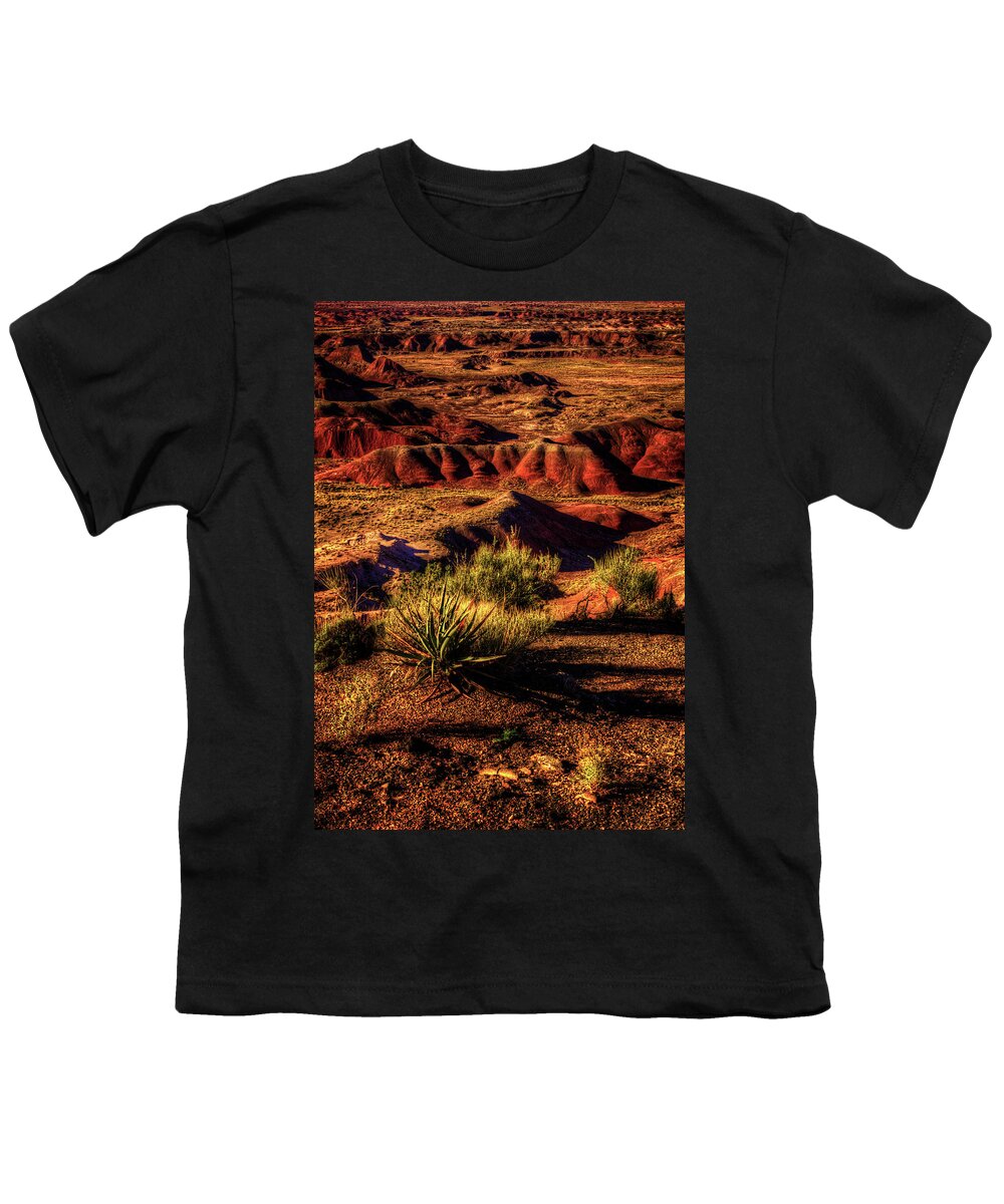 Arizona Youth T-Shirt featuring the photograph The Painted Desert from Kachina Point by Roger Passman