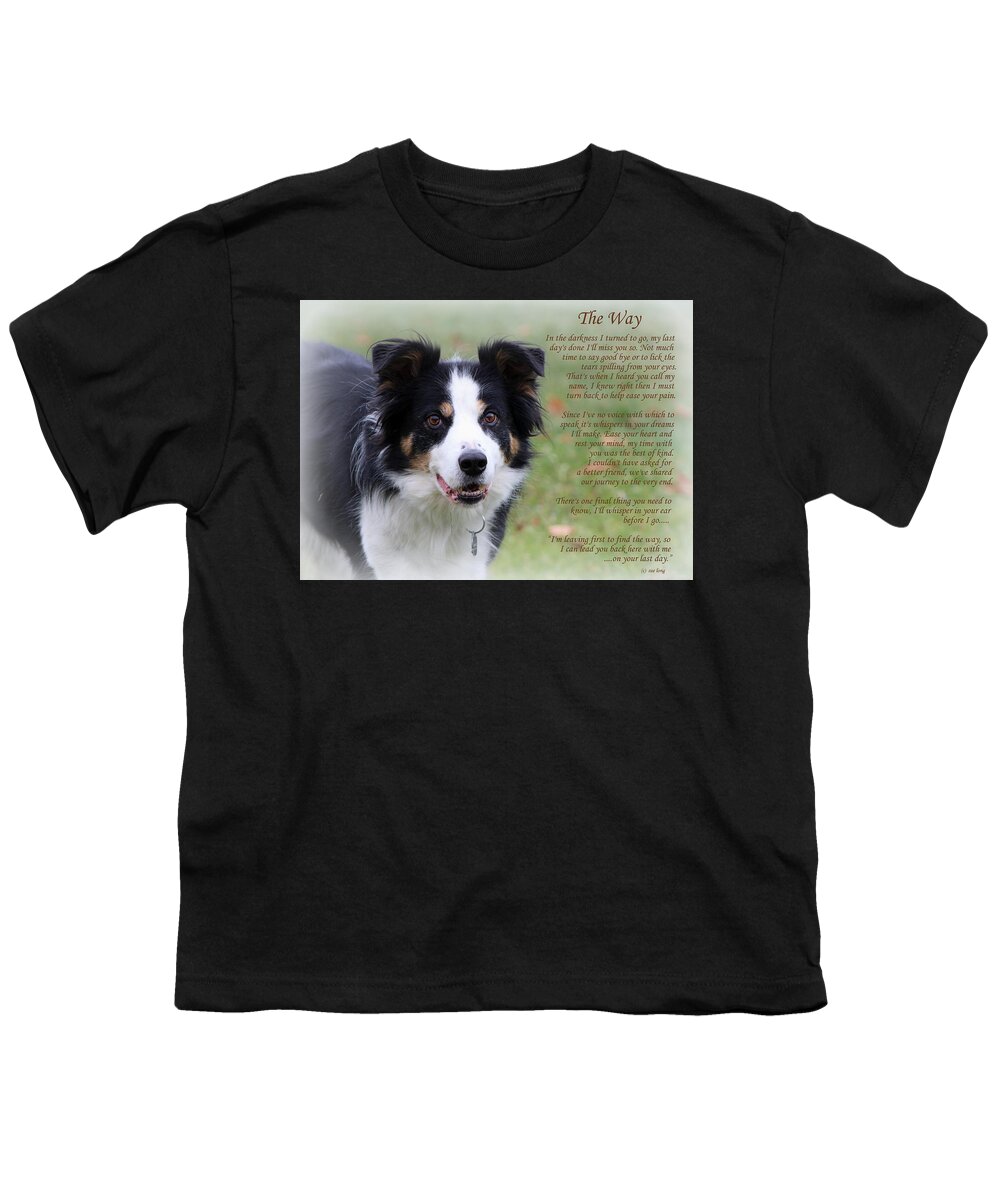 Border Collies Youth T-Shirt featuring the photograph The Way Border Collie by Sue Long