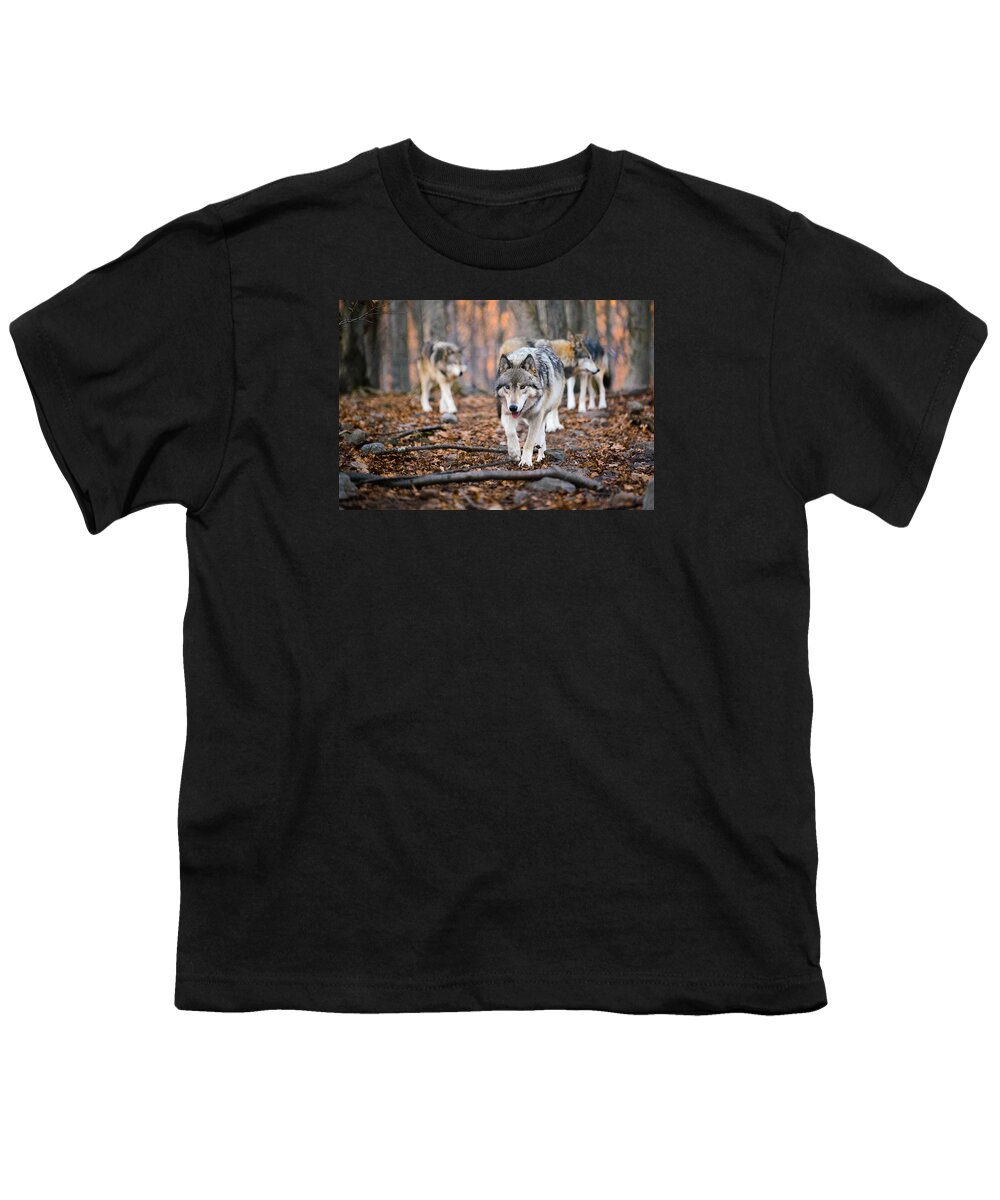 Wolves Youth T-Shirt featuring the photograph The Wolfpack by Mark Rogers