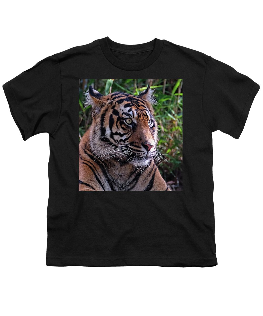 Tiger Youth T-Shirt featuring the photograph Tiger profile close-up by Ronda Ryan