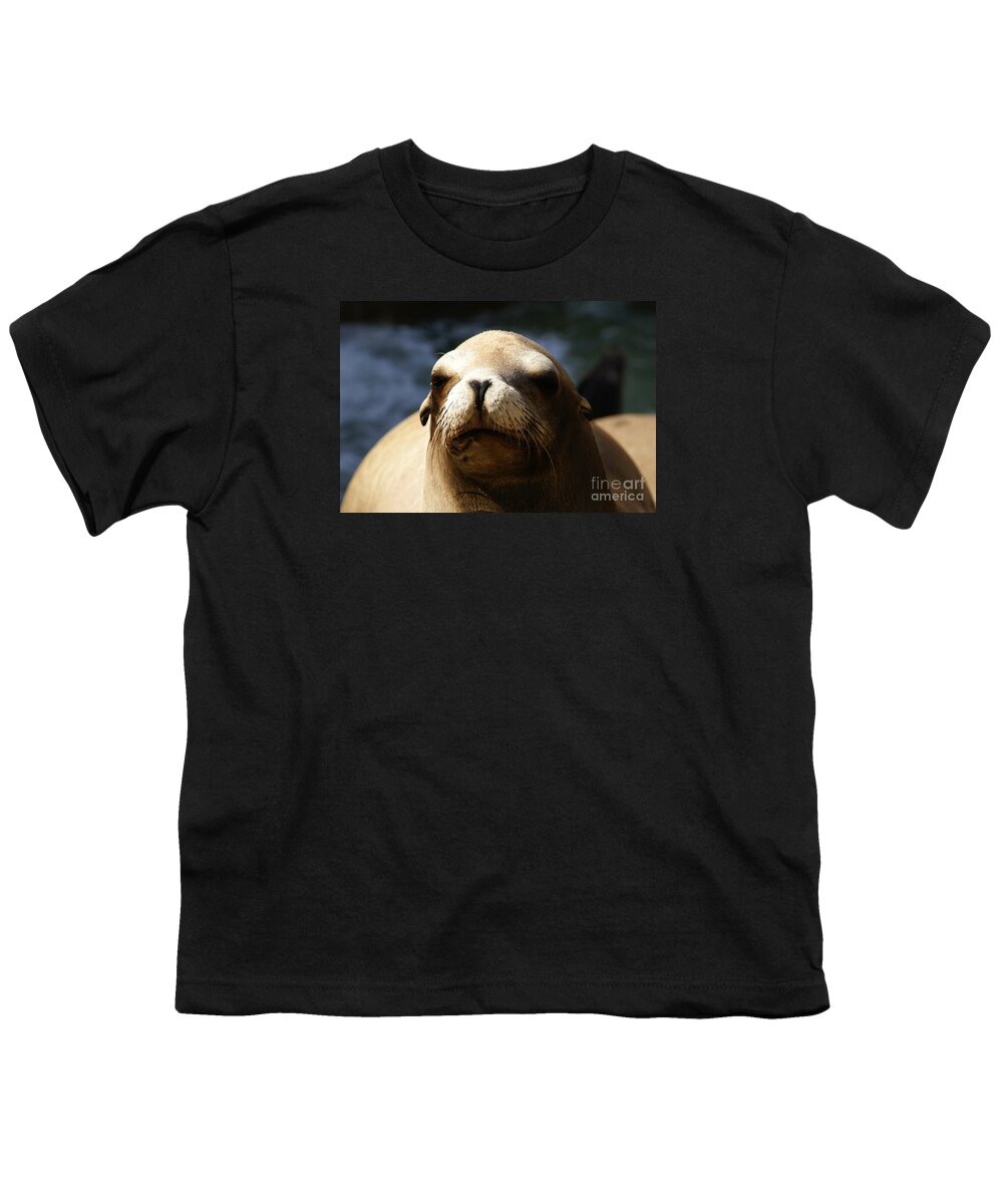 Eared Seal Youth T-Shirt featuring the photograph To Bask in Royal Sun by Linda Shafer
