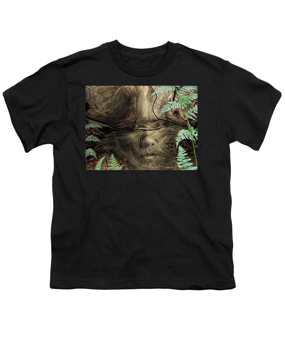 Trees Youth T-Shirt featuring the photograph Tree Memories # 32 by Ed Hall