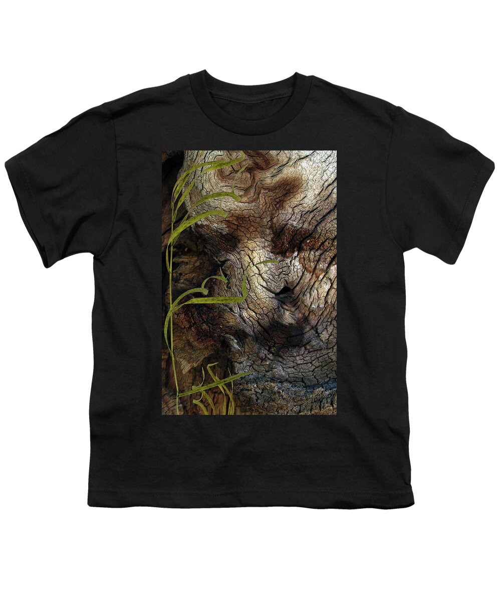 Trees Youth T-Shirt featuring the photograph Tree Memories # 37 by Ed Hall