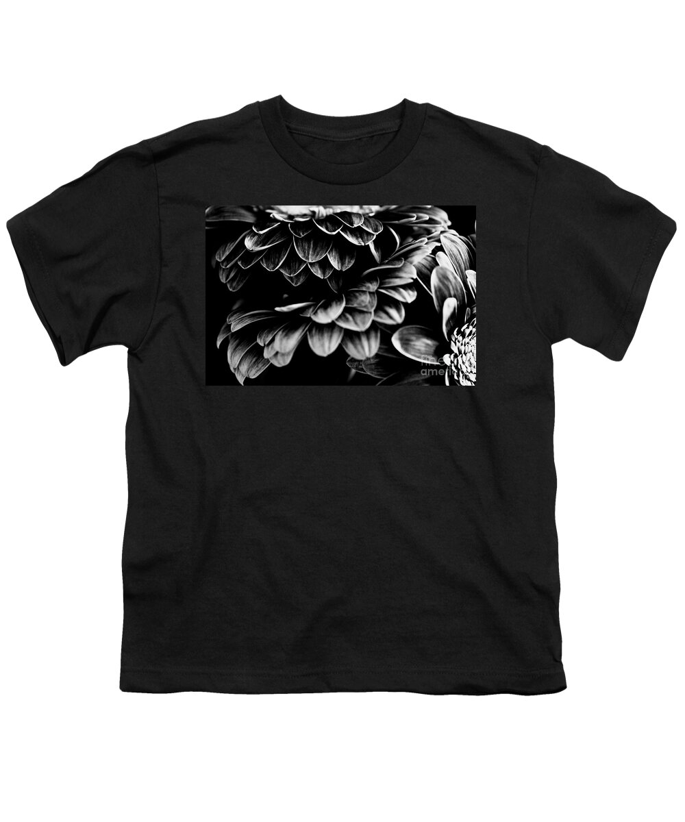 Gerbera Youth T-Shirt featuring the photograph Triple Decker by Clare Bevan