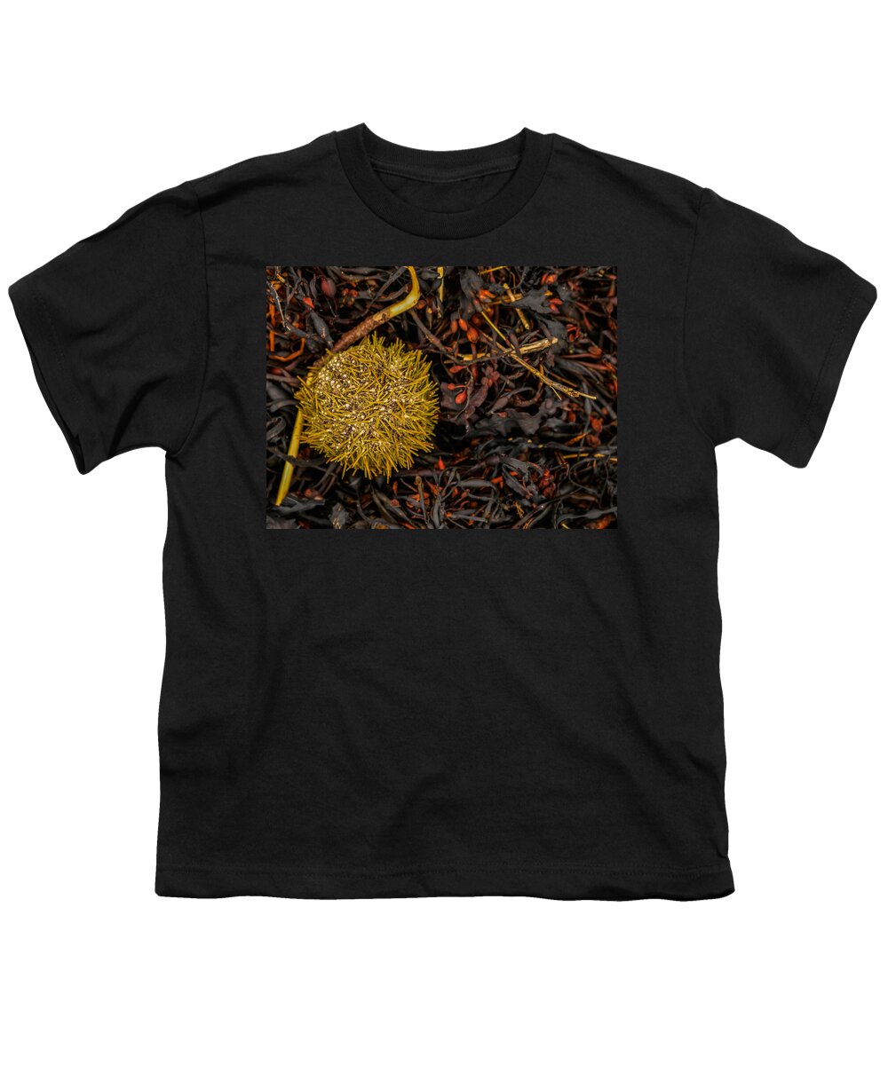 Sea Urchin Youth T-Shirt featuring the photograph Uni by Holly Ross