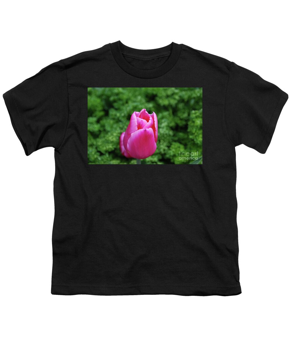 Tulip Youth T-Shirt featuring the photograph Very Pretty Garden with a Dark Pink Tulip by DejaVu Designs