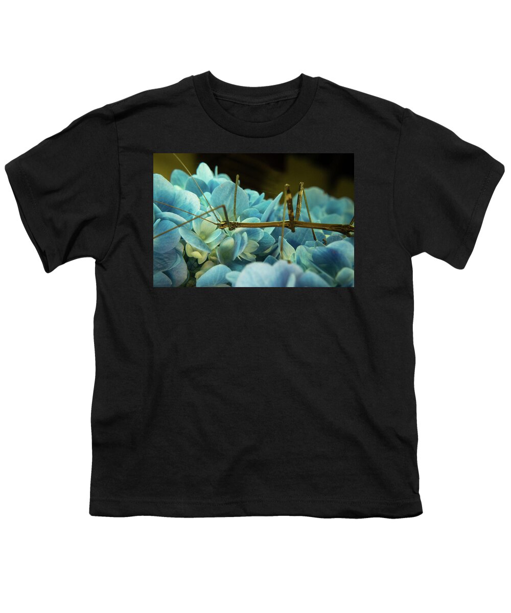 Phasmatodea Youth T-Shirt featuring the photograph Walking Stick up Close and Personal by Douglas Barnett