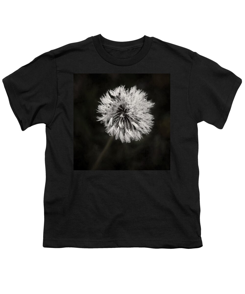 Dandelion Flower Youth T-Shirt featuring the photograph Water Drops on Dandelion Flower by Scott Norris